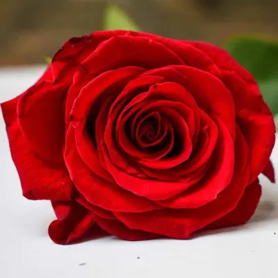 Cerco ragazza da aiutare